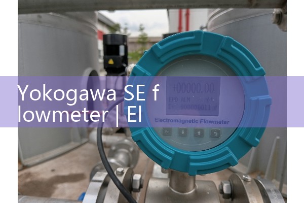 Yokogawa SE flowmeter